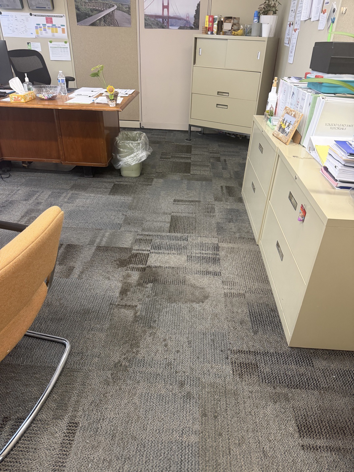 Office carpet before cleaning